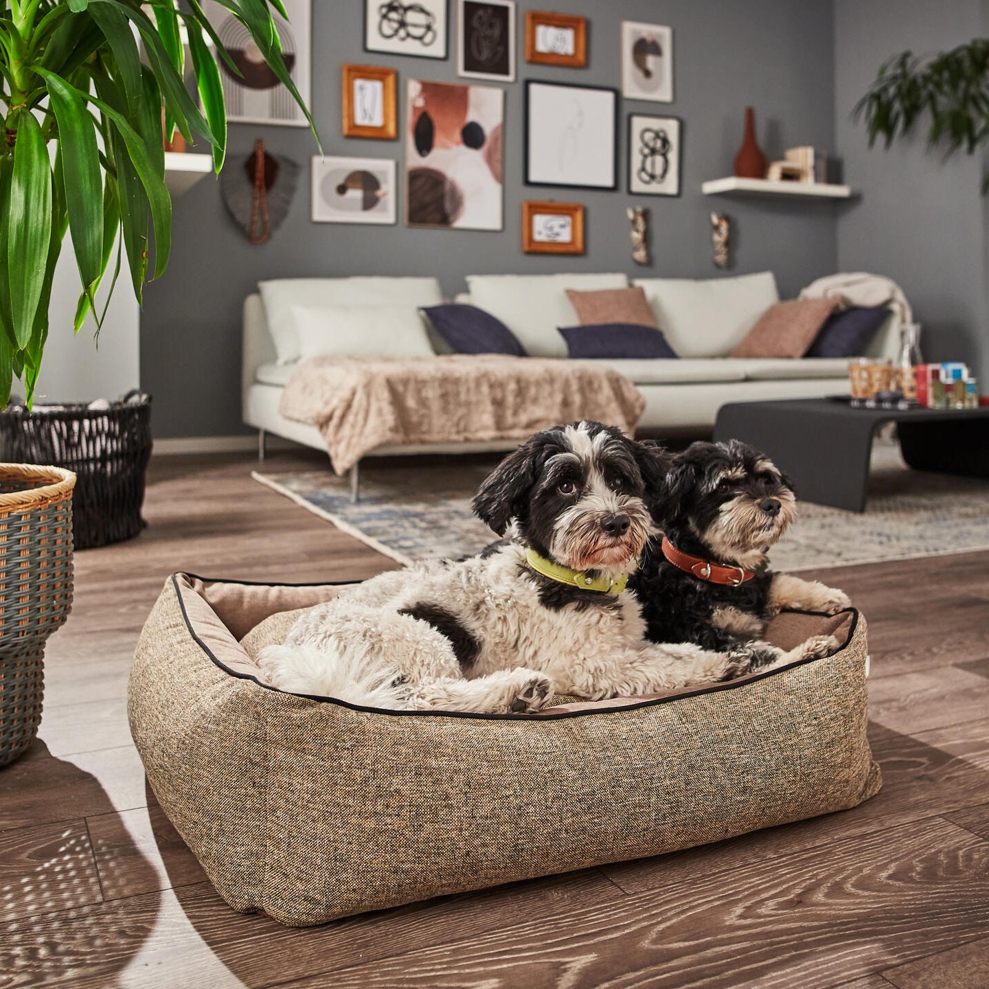 Panier pour chien SCALA – Ambre - Laboni