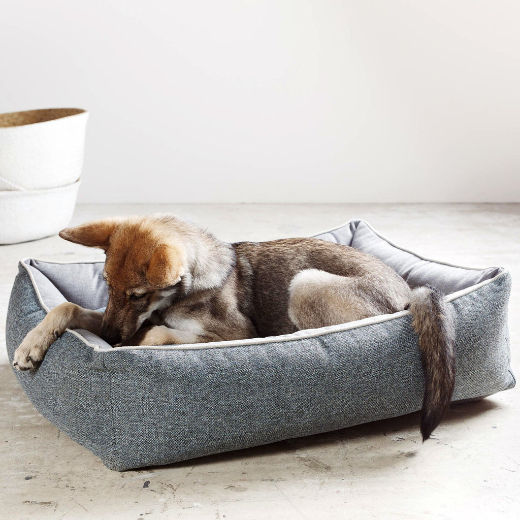 Panier pour chien SCALA – Bleu Denim - Laboni