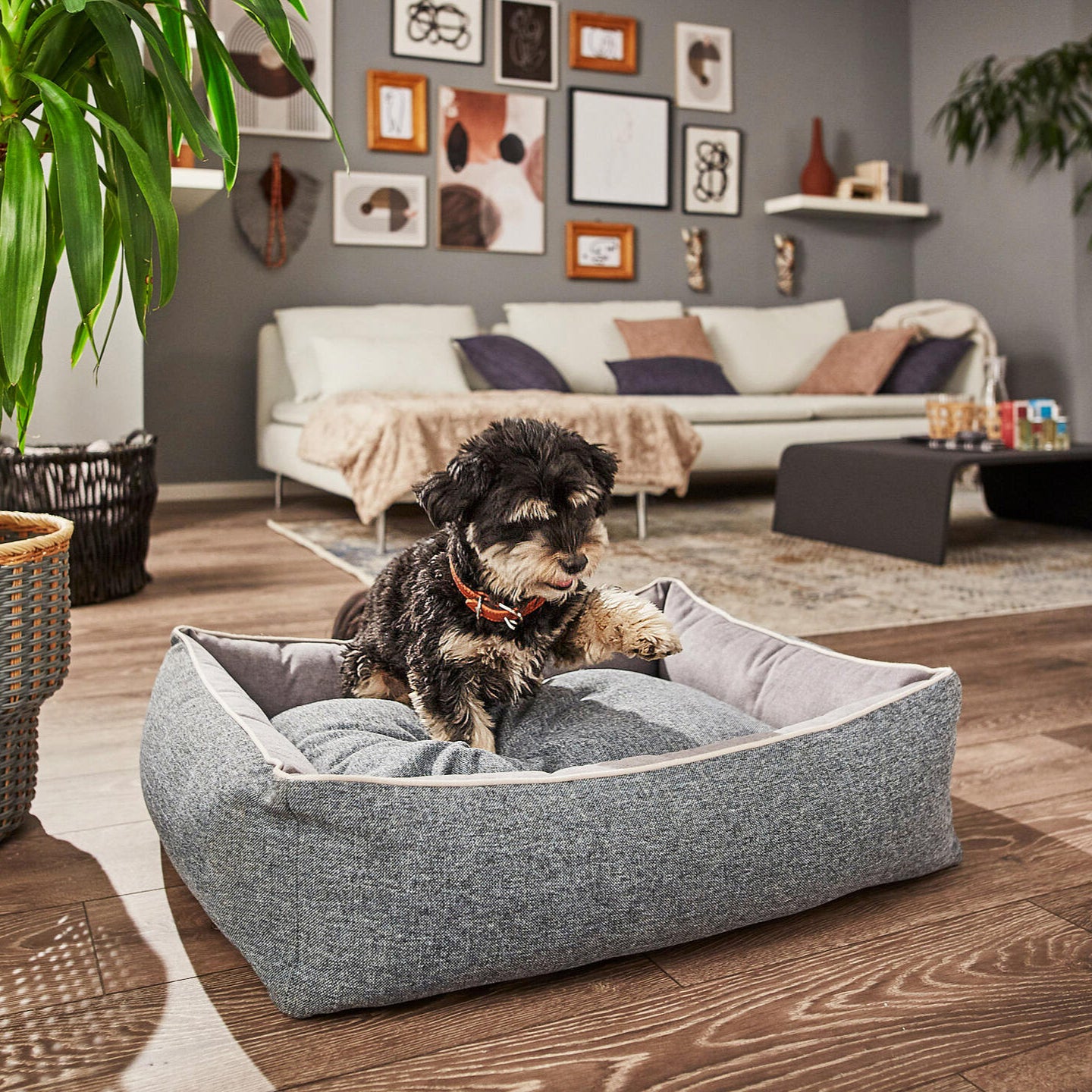 Panier pour chien SCALA – Bleu Denim - Laboni