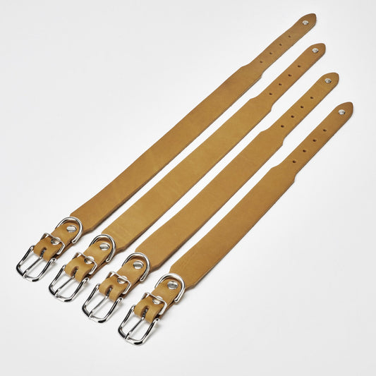 Collier pour chien en cuir GIRO - Honey - Laboni