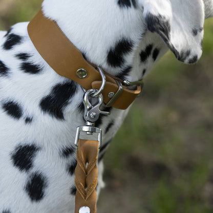 Collier pour chien en cuir GIRO - Honey - Laboni