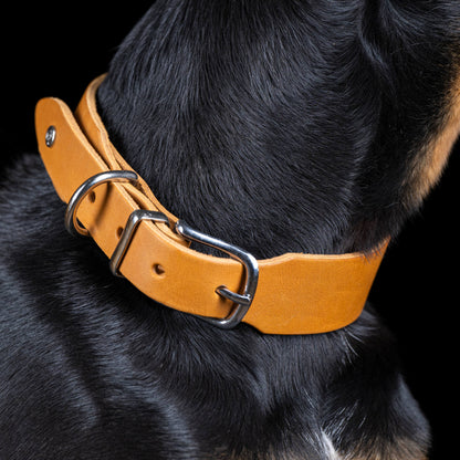Collier pour chien en cuir GIRO - Honey - Laboni