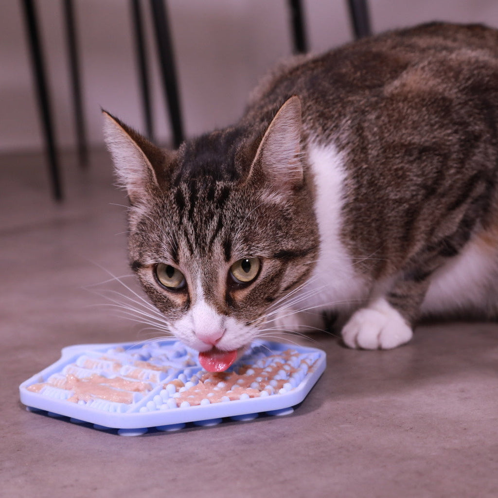 Tapis à lécher pour chat - 2 coloris disponibles