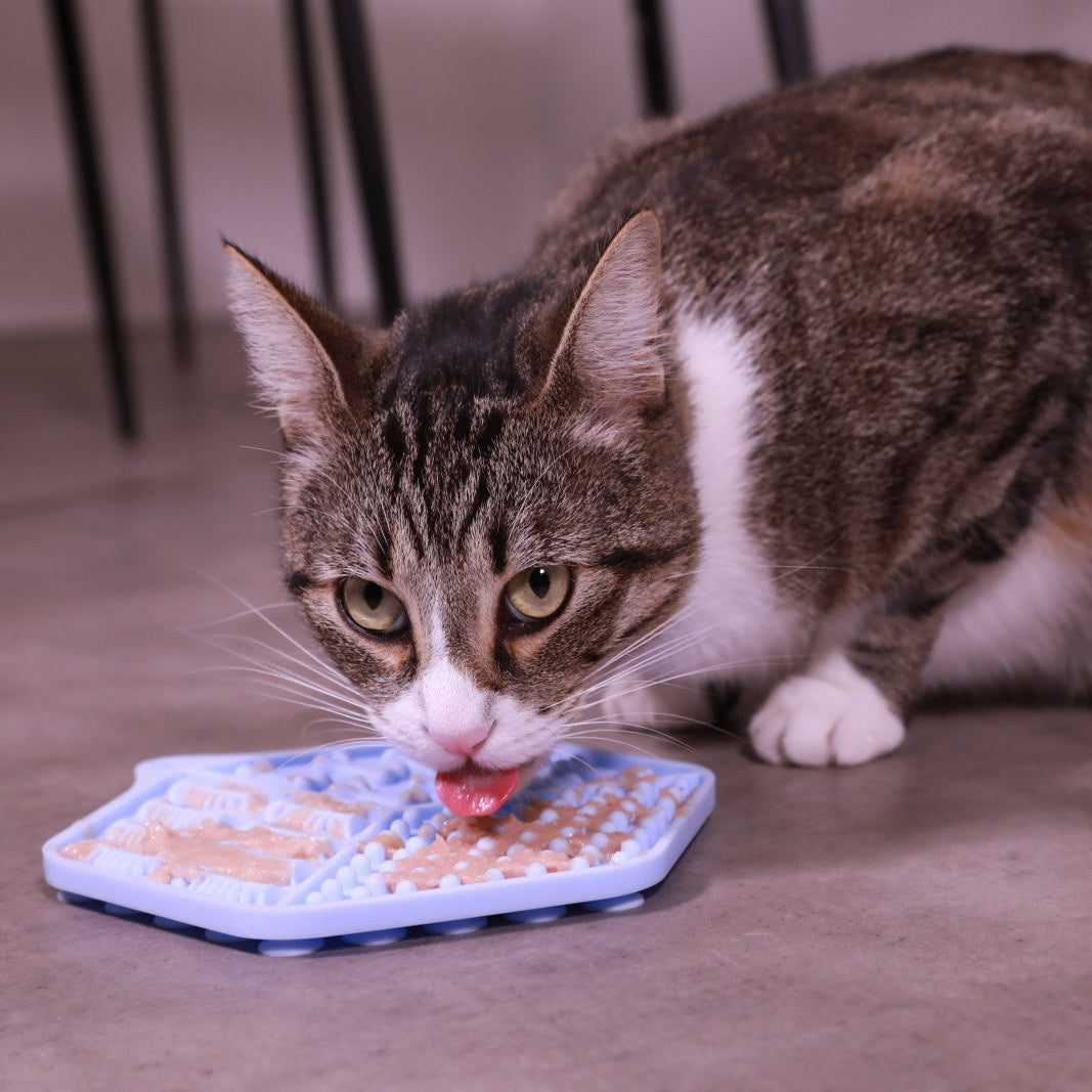 Tapis à lécher pour chat - 2 coloris disponibles