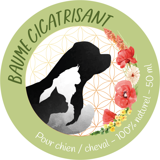 Baume Cicatrisant Naturel pour Chiens et Chevaux – Soin réparateur 50ml