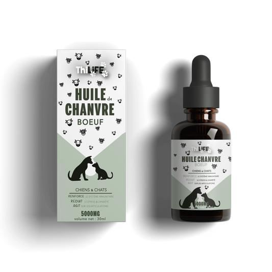 Huile de Chanvre saveur Bœuf – Santé et Équilibre pour chiens et chats (30 ml) - THILIFE
