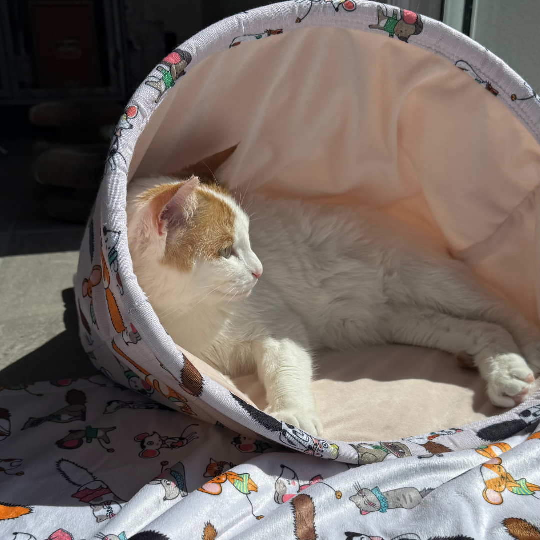 Chat se reposant au soleil dans la chaussette Chatouille Zolux – vue de côté