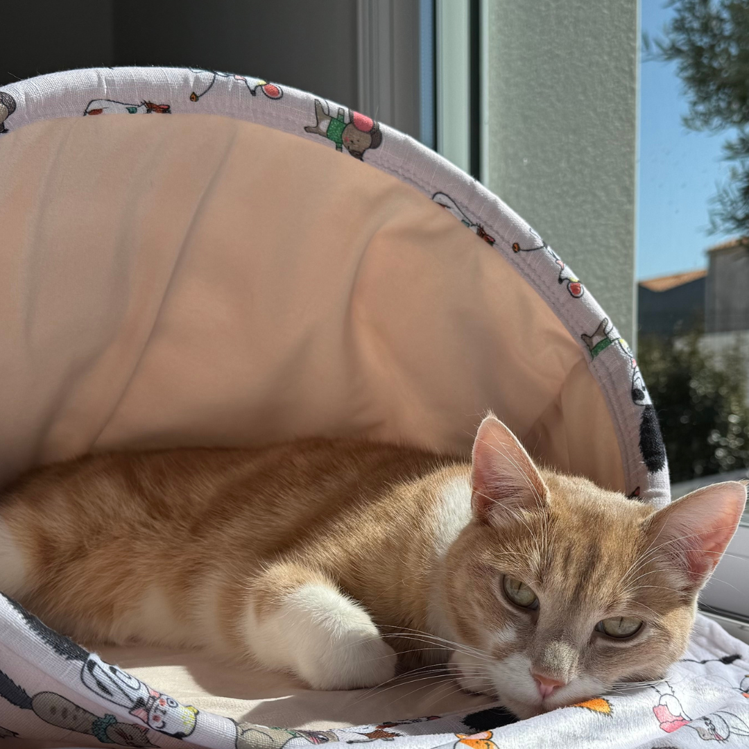 Chat roux couché dans la chaussette Chatouille Zolux – niche douillette