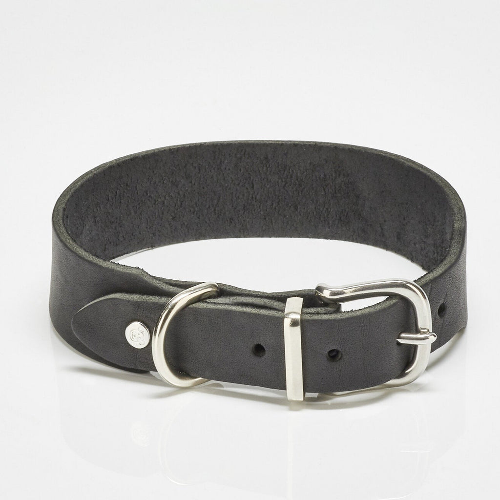 Collier pour chien en cuir GIRO - Black - Laboni