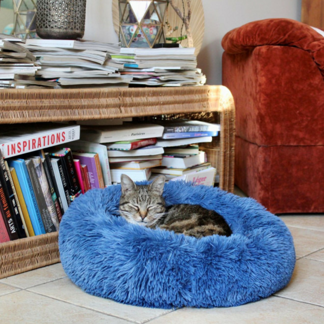 Coussin noé bleu nuit de Zolux, poils longs, un chat couché à l'interieur, le tout dans un salon chaleureux