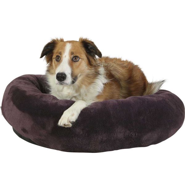Coussin de la collection Noé, de couleur violet, à poils court, avec un chien couché à l'intérieur du coussin, regardant au loin 