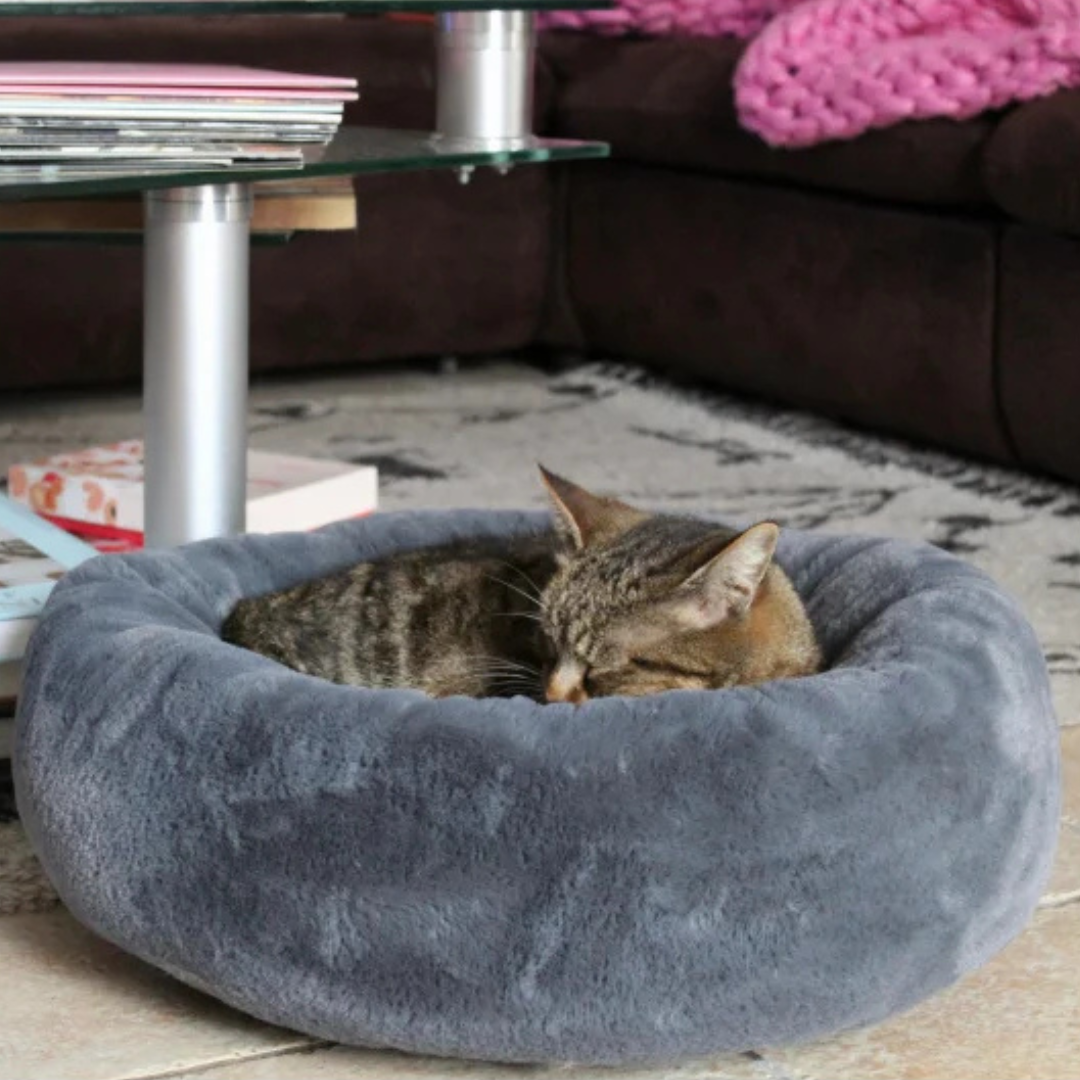Coussin de la collection Noé, de couleur gris anthracite à poil court, avec un chat dormant à l'intérieur du coussin, le tout dans un salon chaleureux 