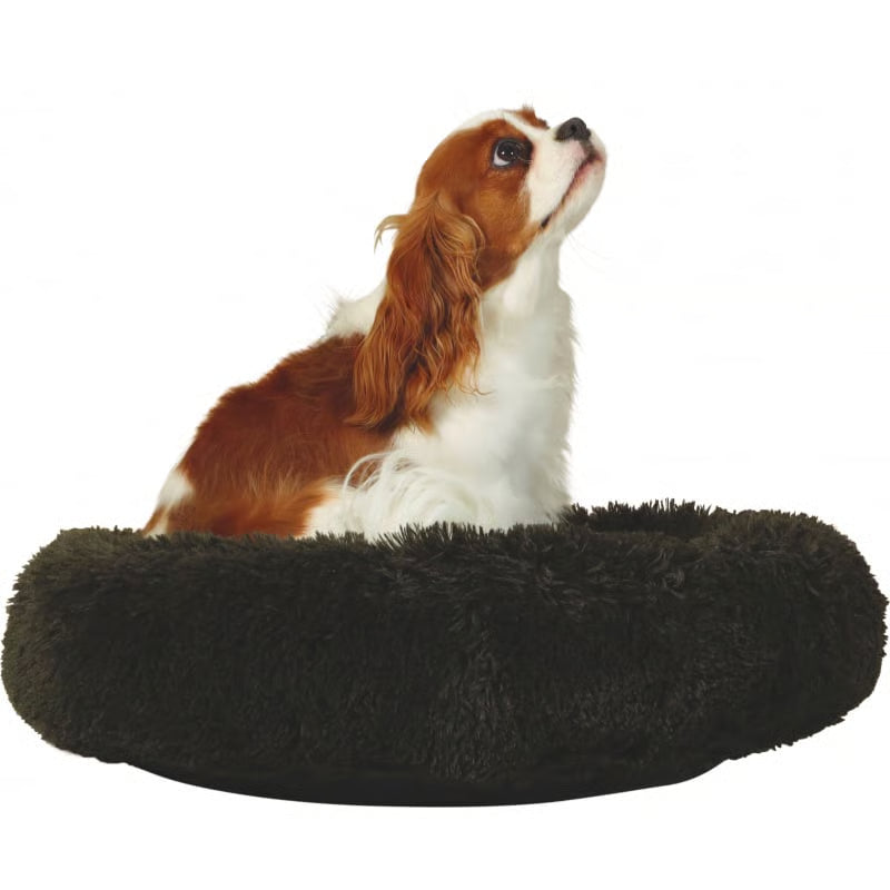 Coussin de la collection Noé, de couleur vert foncé, à poils longs, avec un chien à l'intérieur regardant vers le haut 
