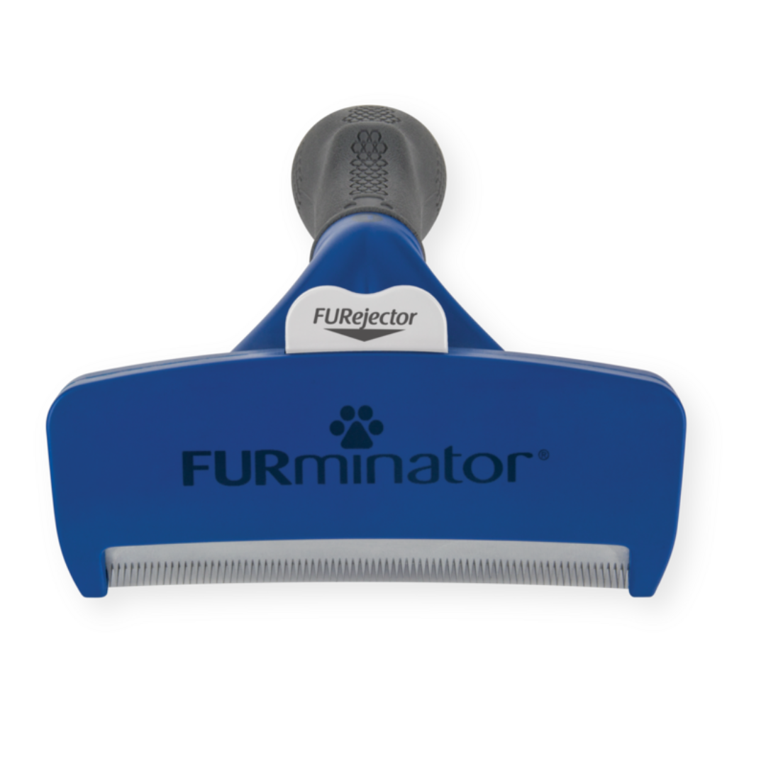 FURminator L pour chiens à poils courts, vue de face avec bouton FURejector et lame anti-mue visible
