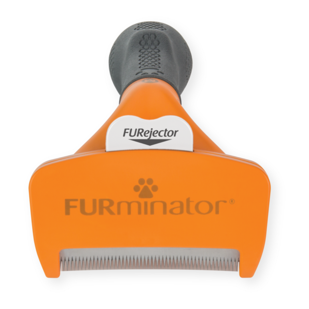 FURminator M pour chiens à poils courts, vue de face avec bouton FURejector et lame anti-mue visible