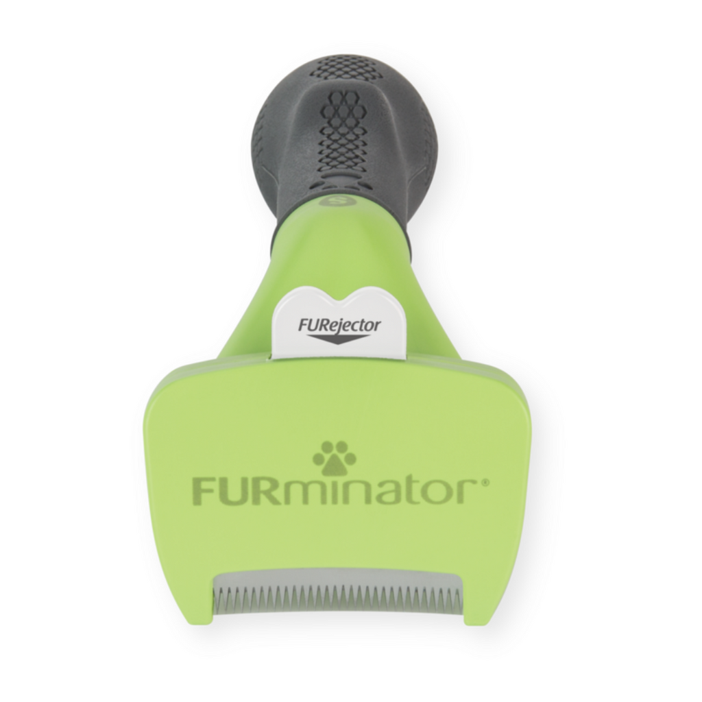 Outil FURminator S anti-mue pour chiens à poils courts, vue en perspective avec manche antidérapant