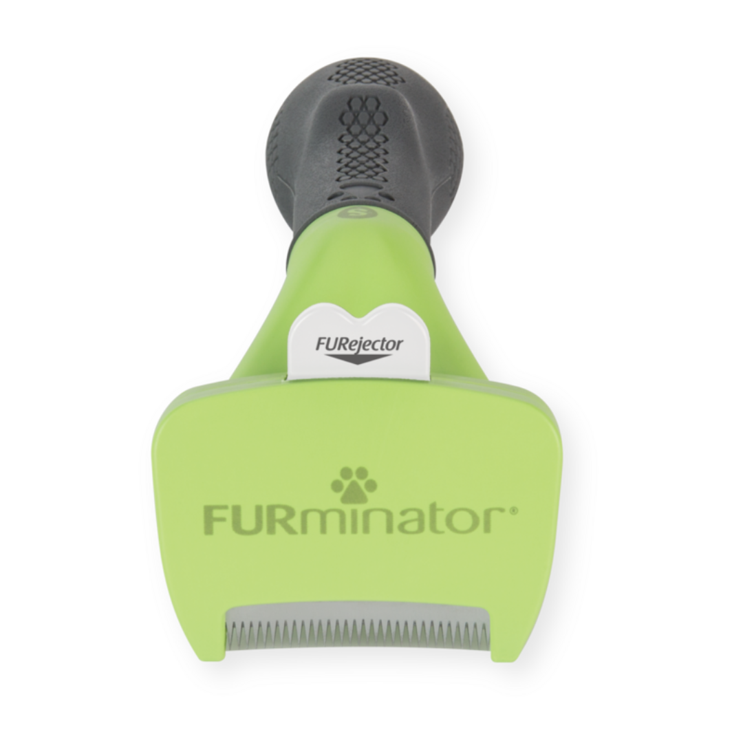 Outil FURminator S anti-mue pour chiens à poils courts, vue en perspective avec manche antidérapant