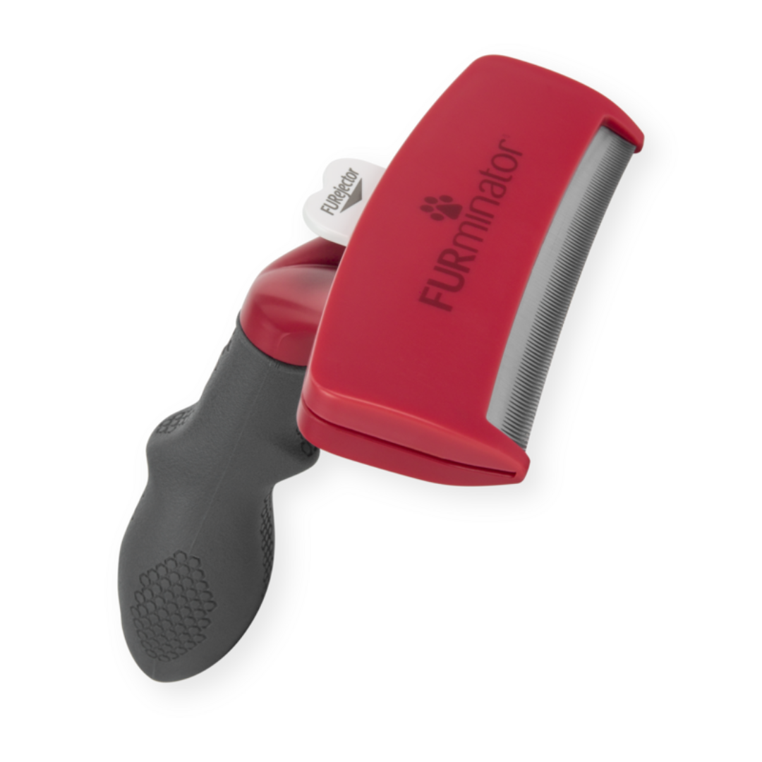 Outil FURminator XL anti-mue pour chiens à poils courts, vue en perspective avec manche antidérapant