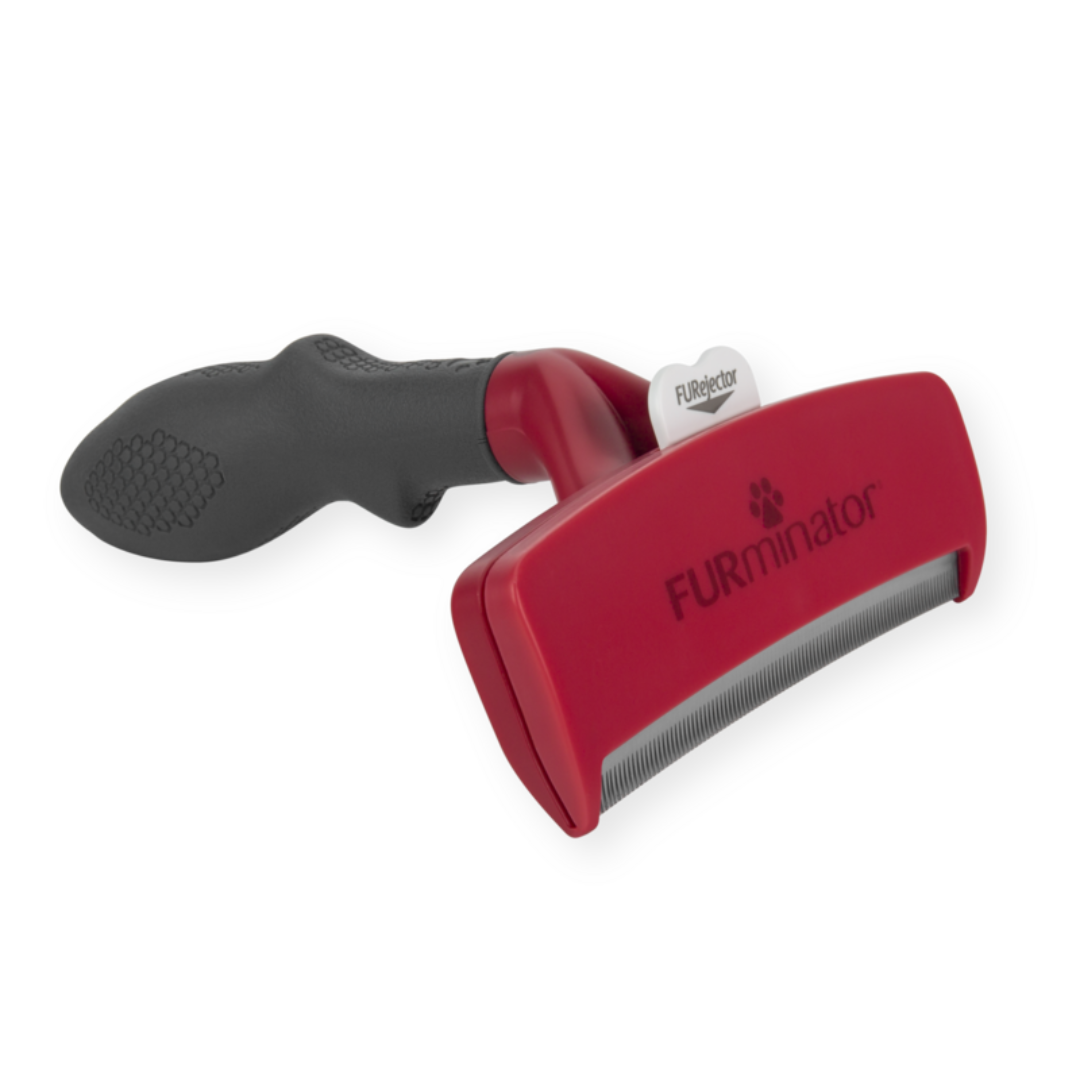 Outil FURminator XL poils courts pour chiens de race géante, vue de côté avec manche ergonomique et lame en acier inoxydable