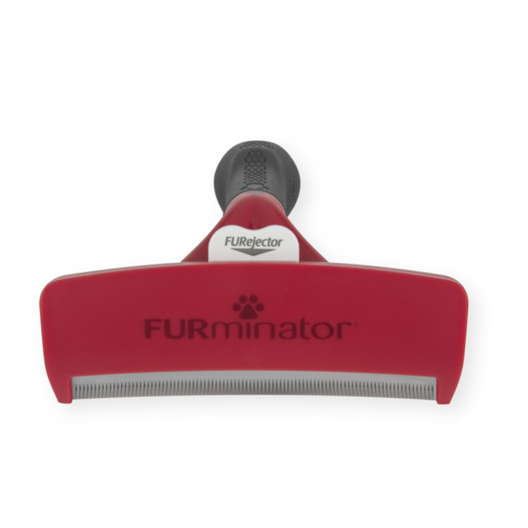 FURminator XL pour chiens à poils courts, vue de face avec bouton FURejector et lame anti-mue visible