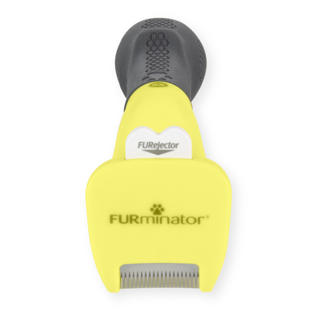 Outil FURminator XS anti-mue pour chiens à poils courts, vue en perspective avec manche antidérapant