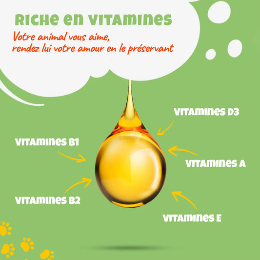 Huile de Chanvre saveur Poulet– Santé et Équilibre pour chiens et chats (30 ml) - THILIFE
