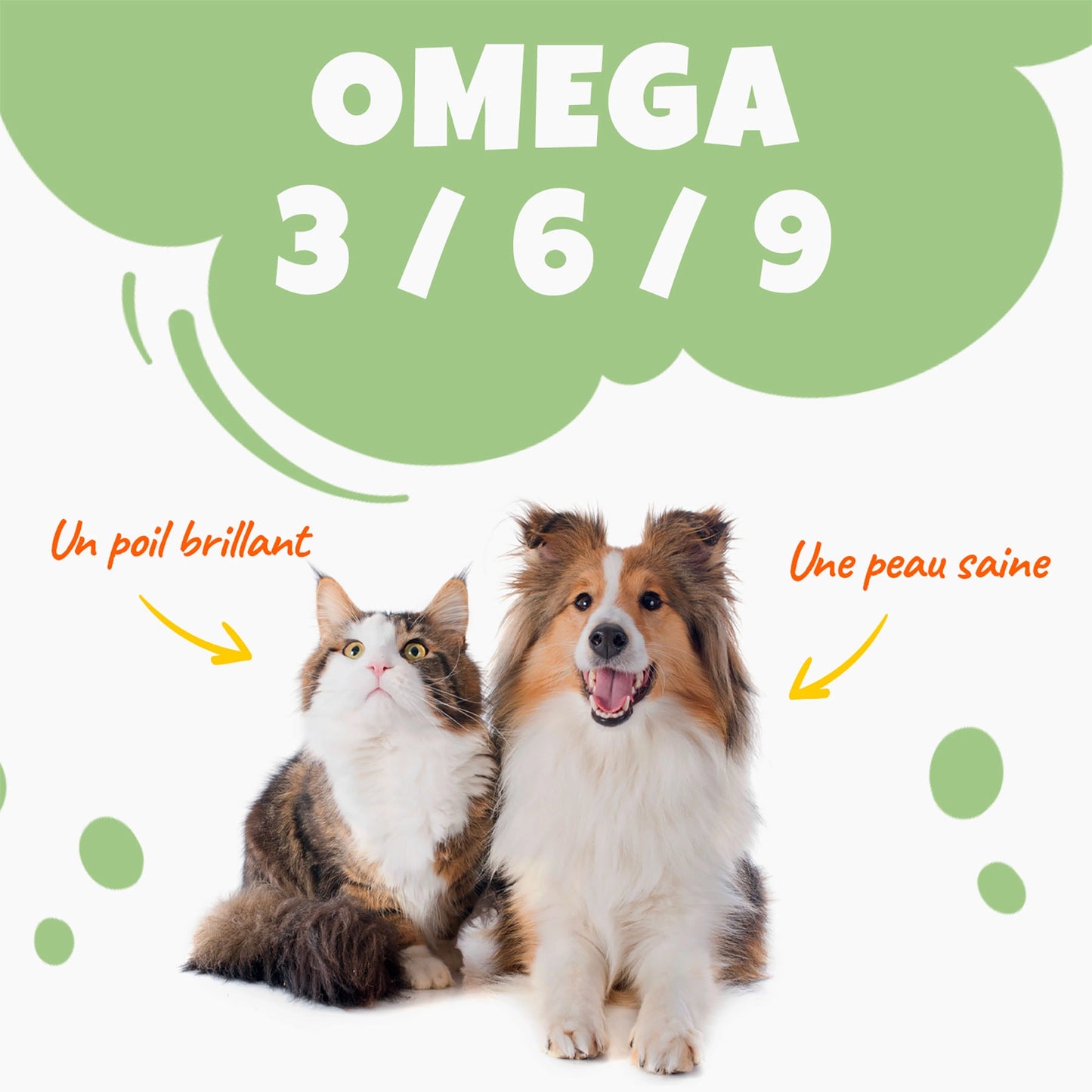 Huile de Chanvre saveur Poulet– Santé et Équilibre pour chiens et chats (30 ml) - THILIFE