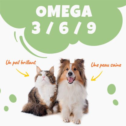 Huile de Chanvre saveur Poulet– Santé et Équilibre pour chiens et chats (30 ml) - THILIFE