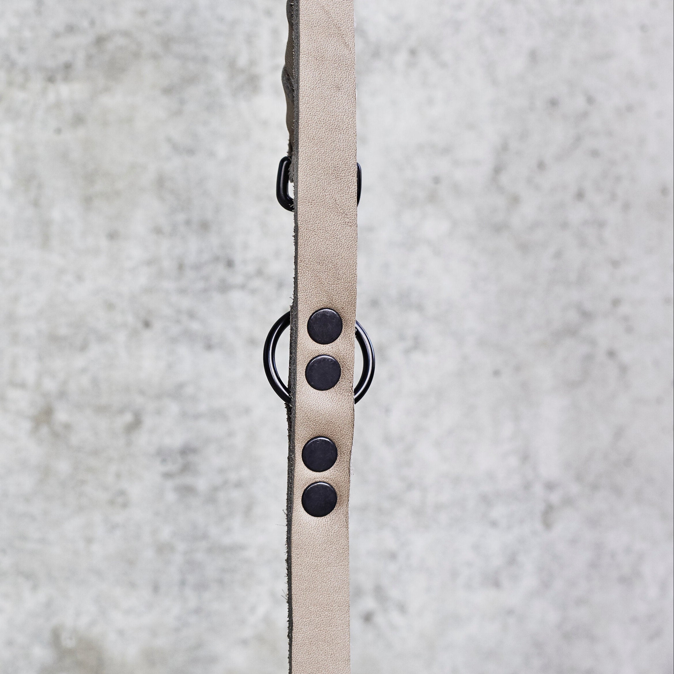Laisse en cuir gris de la collection GIRO de Laboni, comportant des boutons et attaches en métal noir, zoom sur les boutons et le cuir 