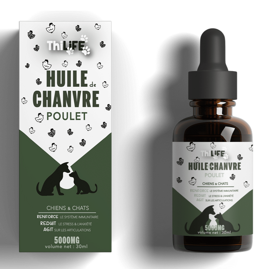 Huile de Chanvre saveur Poulet– Santé et Équilibre pour chiens et chats (30 ml) - THILIFE
