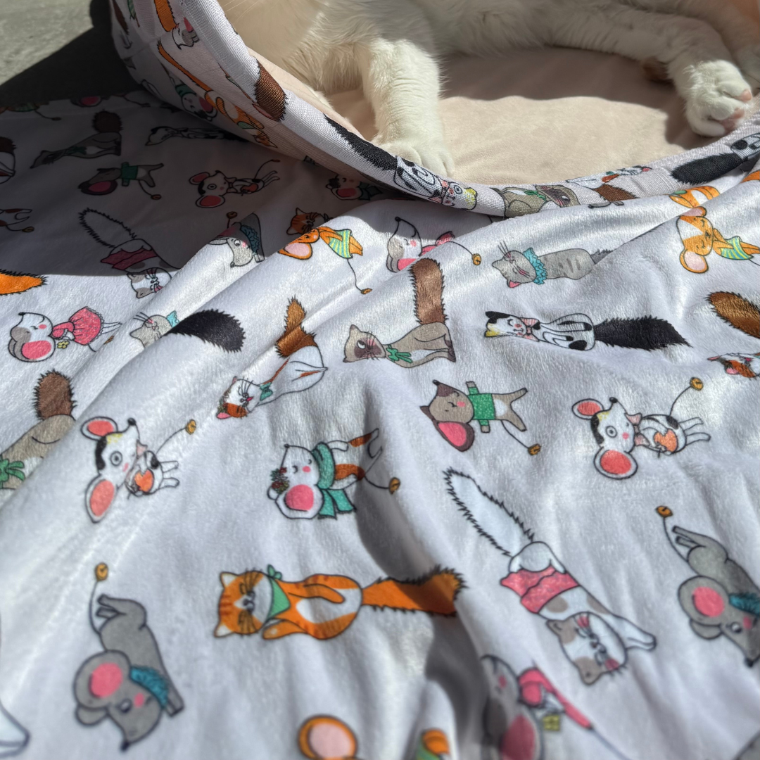 Plaid Chatouille Zolux décoré de motifs colorés – en situation avec chat