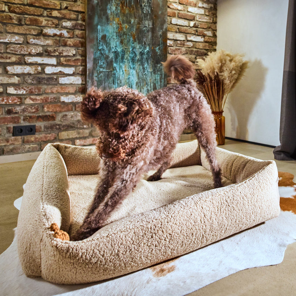 Chien joueur debout dans un panier beige, mâchant le jouet Rudi le Renne Laboni.