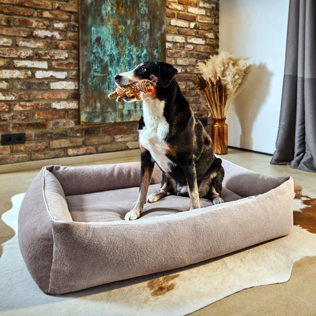 Chien s’amusant avec le jouet Rudi le Renne Laboni dans un panier moelleux.