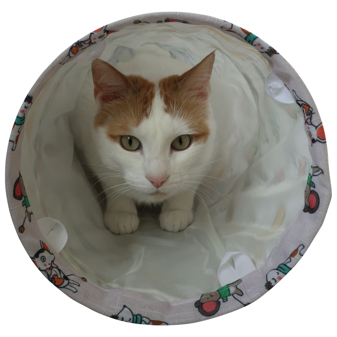 Chat dans tunnel droit Chatouille Zolux – version 100 cm