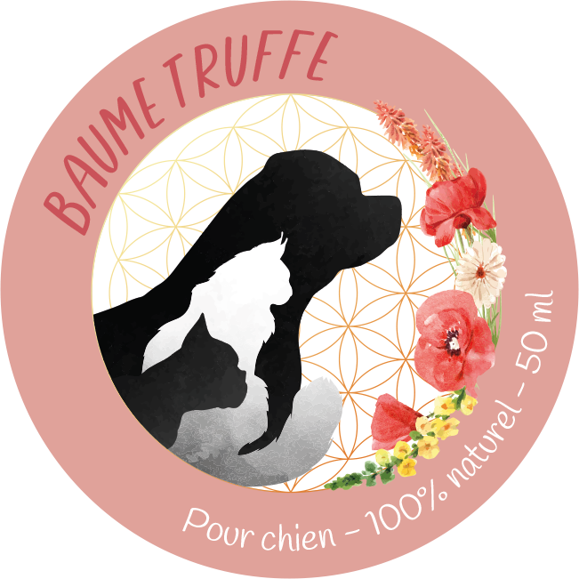 Baume Truffe Naturel pour Chiens – Hydratation et réparation 50ml