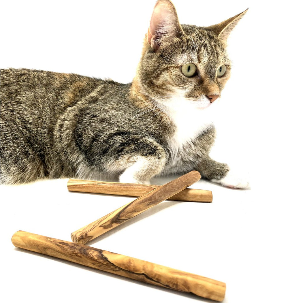 Lot de 3 bâtons à mâcher en bois d’olivier – Pour petits chiens et chats