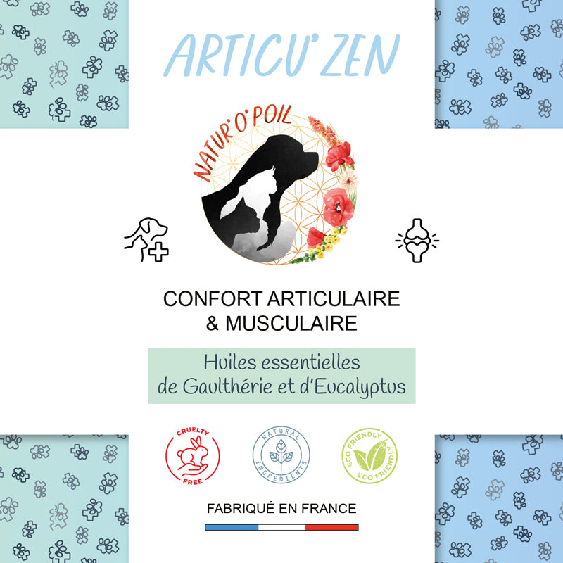 Gel de Massage Articulaire et Musculaire – ARTICU’ZEN – 200 ml