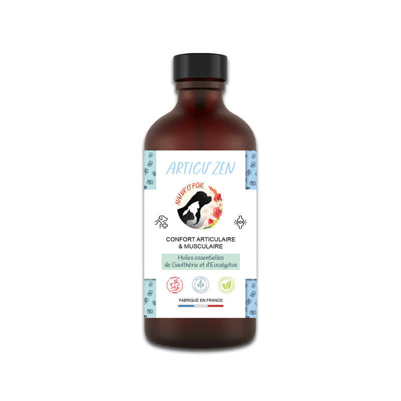 Gel de Massage Articulaire et Musculaire – ARTICU’ZEN – 200 ml