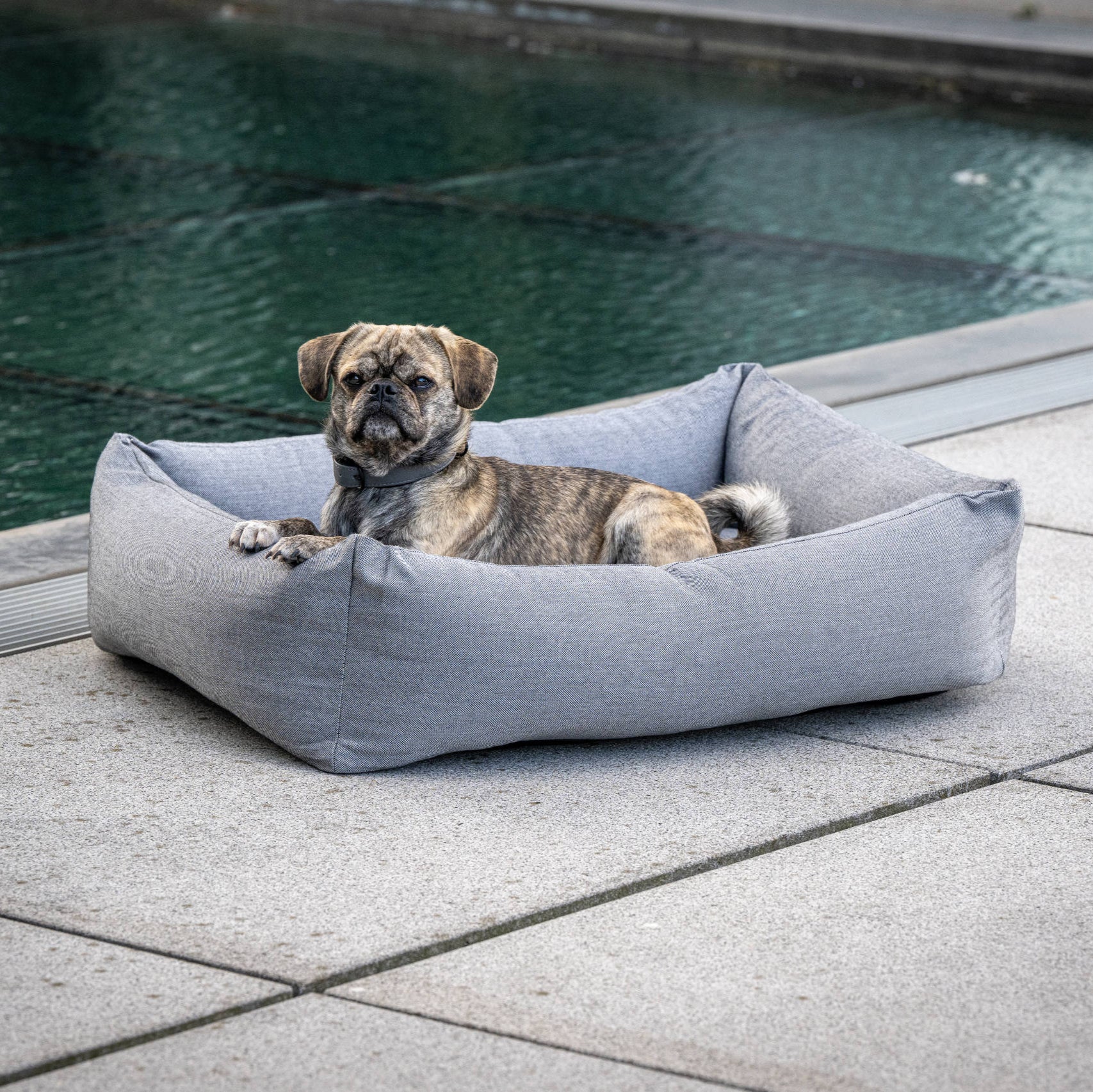 Panier pour chien SMOOTH - Noir Élégance - Laboni