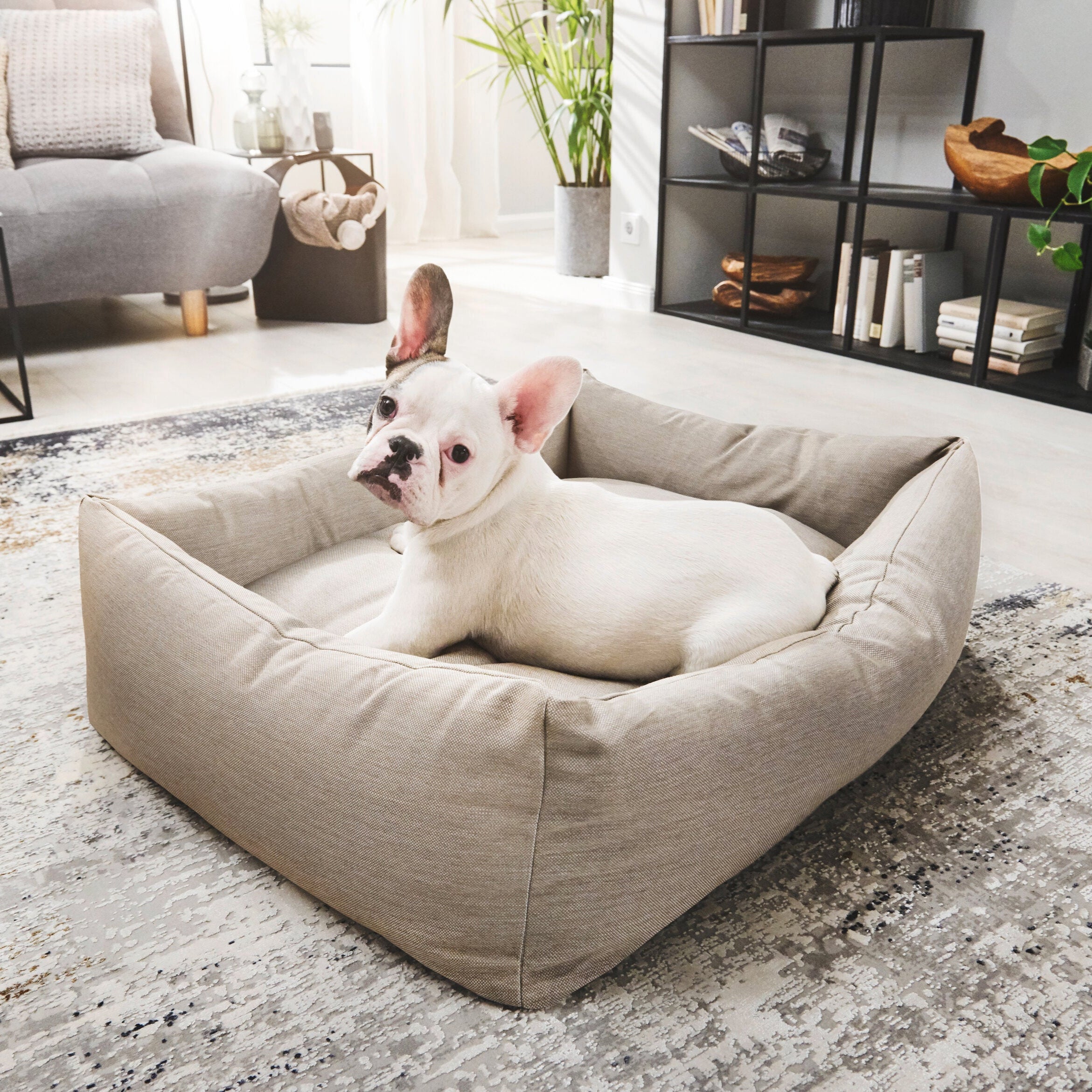 Panier pour chien SMOOTH – Lino - Laboni