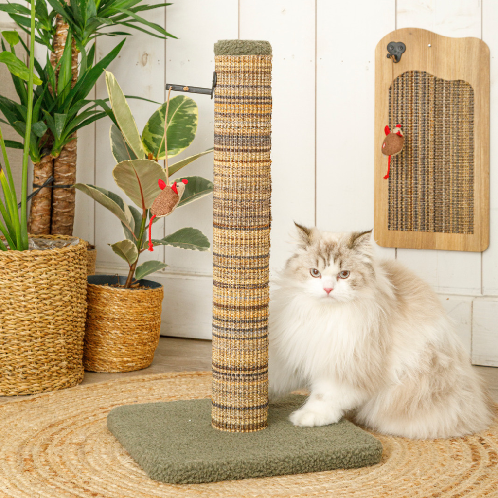Poteau à griffer Boréal Zolux beige dans un intérieur déco avec plantes et chat