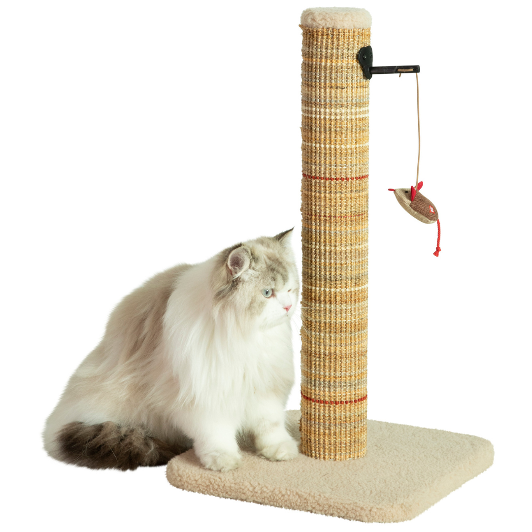 Poteau à griffer Zolux Boréal beige avec tapis doux et jouet suspendu, comprenant un chat dessus