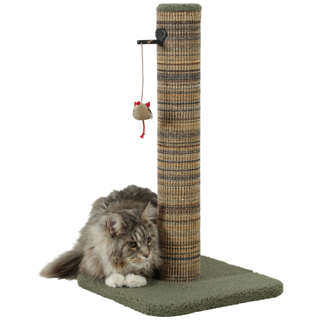 Chat utilisant le poteau à griffer Boréal vert de Zolux