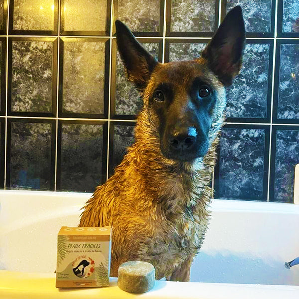 Shampoing Solide Peaux Fragiles – Chien & Chat – 70g