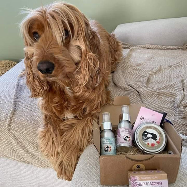 Chien couché à côté d’un coffret Natur’O’Poil contenant le spray anti-parasitaire aux huiles essentielles, la lotion yeux & oreilles et le baume coussinets.