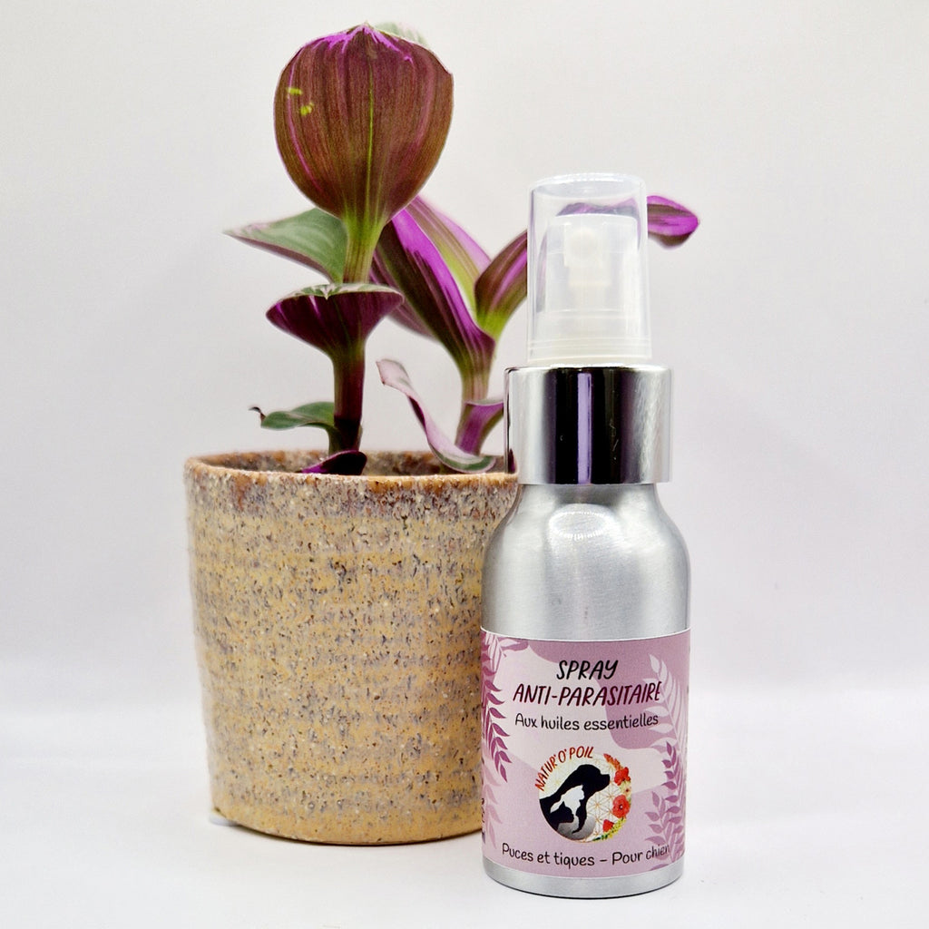 Spray antiparasitaire pour chien – Protection naturelle contre les puces et tiques – 50 ml