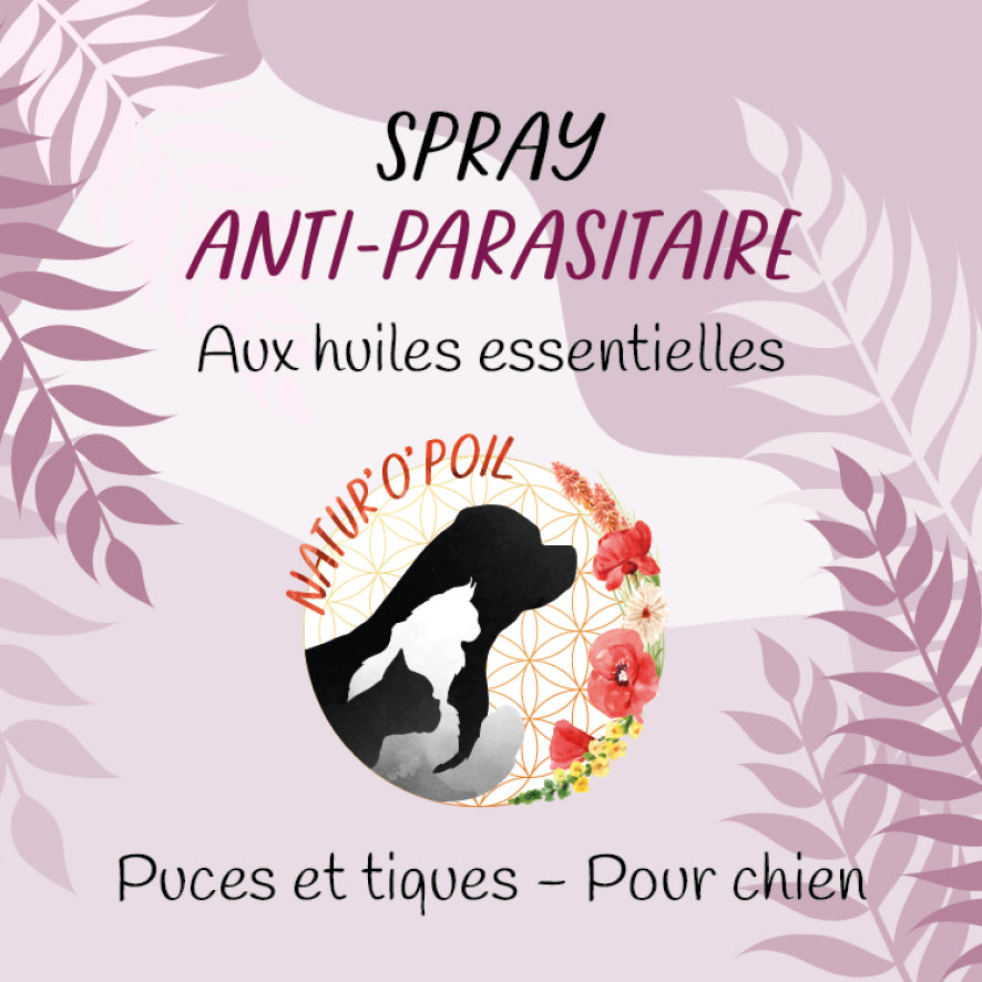 Spray antiparasitaire pour chien – Protection naturelle contre les puces et tiques – 50 ml